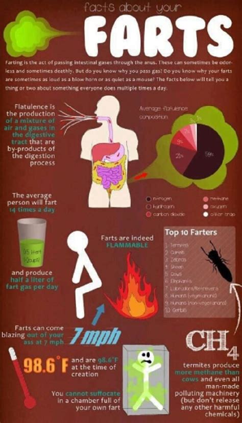 Facts About Farting You Probably Didn T Know Healthy Lifestyle