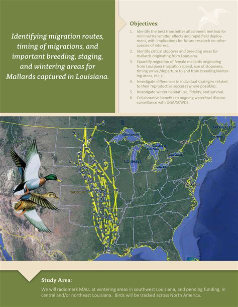 Exploring The Benefits Of Ducks Unlimited Migration Map In 2023 Map