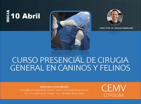 Curso De Cirugía General En Caninos Y Felinos Cemv Argentina