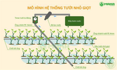 Tưới Nhỏ Giọt Là Gì Vì Sao Nên Dùng Hệ Thống Tưới Nhỏ Giọt Saigon Metro Mall