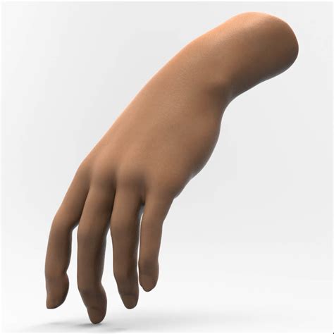 Human Hand 3d Model Cgtrader