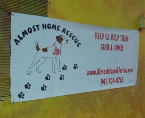 Pets For Adoption At Almost Home Dog Rescue Inc In Terra Ceia Fl