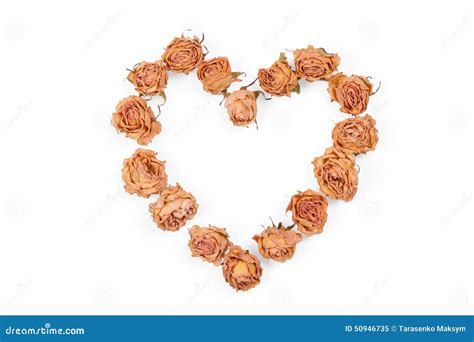 Dry Rose Flowers Heart Isolated On White Background Valentine Stock
