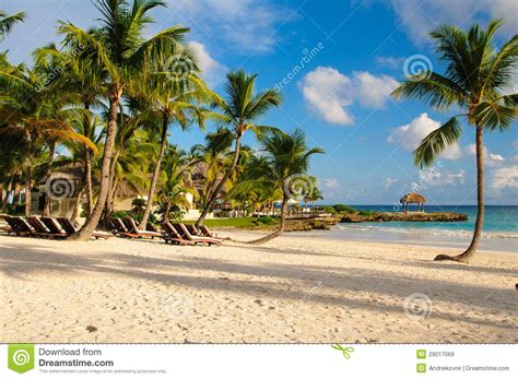 Sunset Dream Beach With Palm Tree Over The Sand Tropical