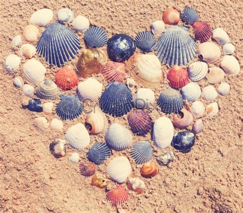 Heart Made Of Seashells On The Beach Stock Photo Crushpixel