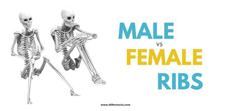 Difference Between Male And Female Ribs Understand In Minutes