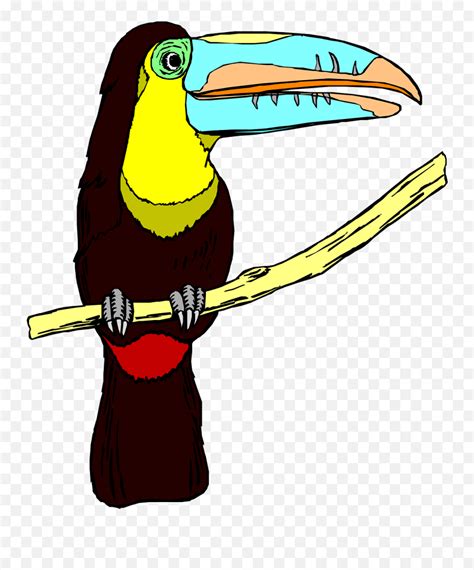 Toucan Bird Wildlife Big Beak Toucan Png Emojiemoji With Star Eyes