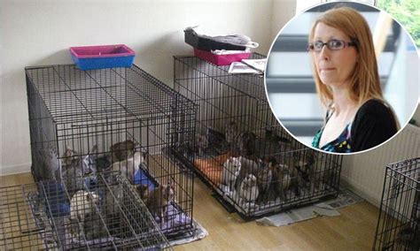 Mother And Daughter Banned From Keeping Animals After Rspca Finds 41