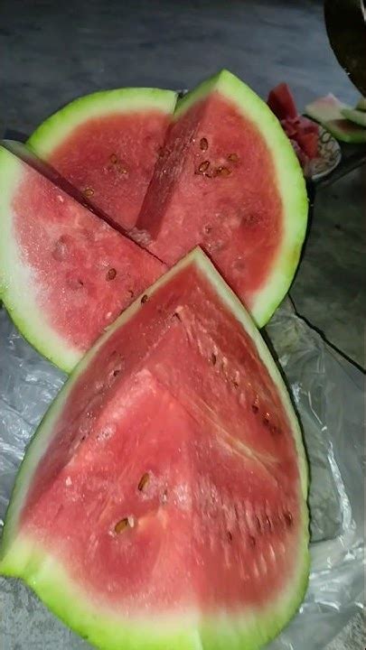 Watermelon Satisfying Food During Summer Tormuj তরমুজ Shorts Youtubeshorts Youtube