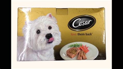 We did not find results for: Cesar Wet Dog Food 5 flavors - YouTube