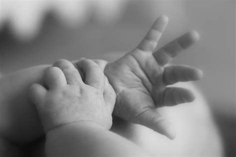 Little Hands Hand Photography Photography Gallery Newborn