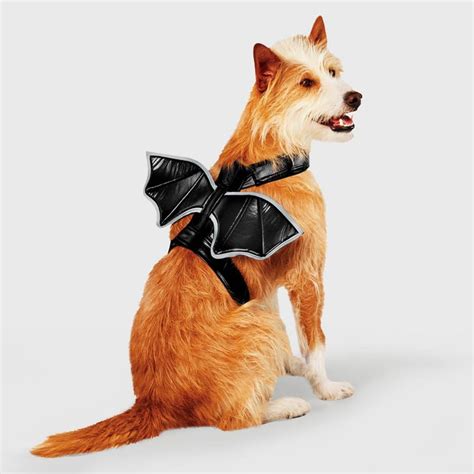 Bat Wings Halloween Dog Costume Best Dog Costumes For Large Medium