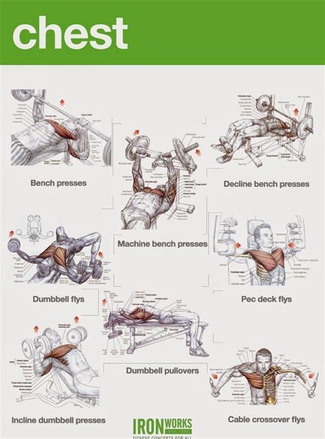 Pin By Emiliano Mtz On Ejercicios Muscle Gain Workout Chest Workouts