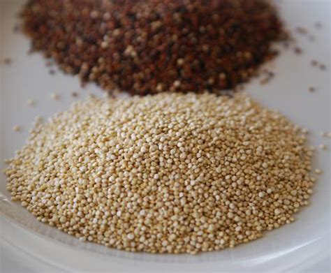 Grain Of The Month Quinoa Sargent Choice Blog