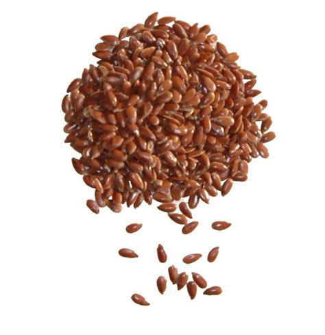 Flaxseed Food Sources Health Benefits And Dosage Update Jun 2018