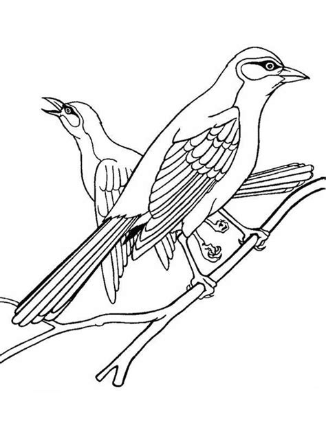 Kolorowanki Ptaki Do Druku I Malowanki Sketch Coloring Page