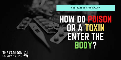 How Do Poisons Or Toxins Enter The Body The Carlson Company