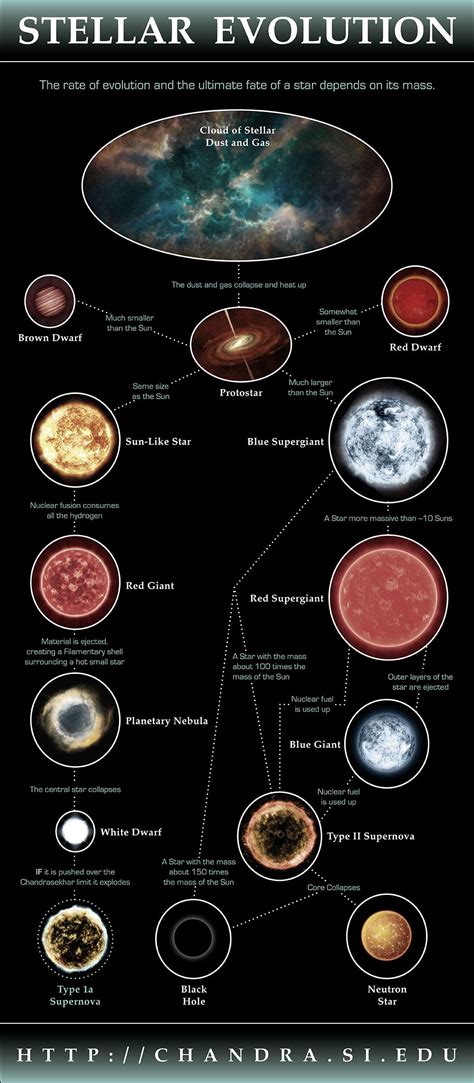 Stellar Evolution Infographic Astronomy Astronomy Science Astrophysics
