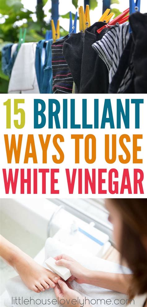 28 Brilliant Ways To Use White Vinegar In Your Home Little House
