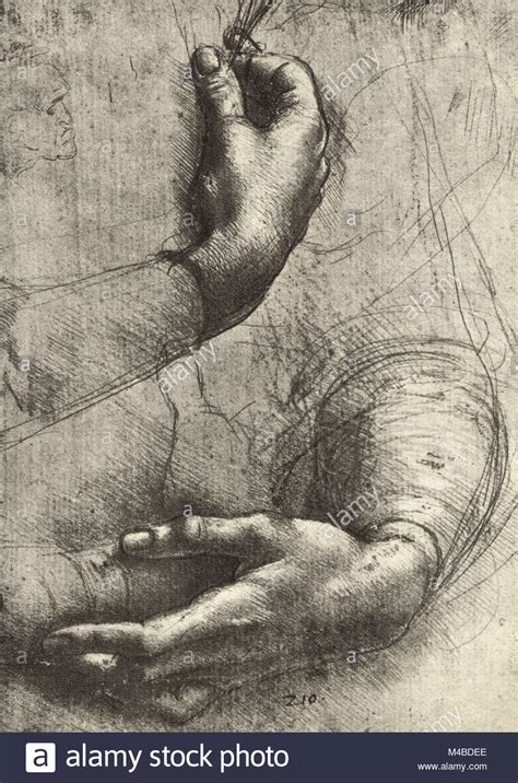 Drawn By Leonardo Da Vinci Stock Photos And Drawn By
