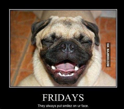 My Thoughts Exactly Funny Friday Dog Memes