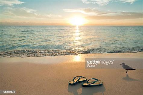 Thongs On The Beach Photos And Premium High Res Pictures Getty Images