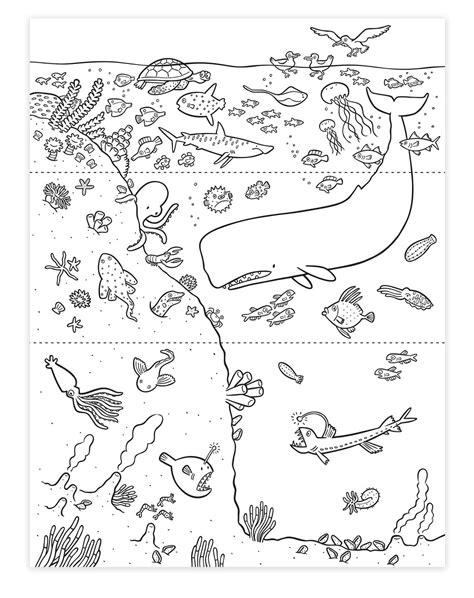 Ocean Zones Coloring Coloring Pages