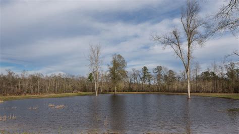 National land realty specializes in south carolina farm, ranch, timber & recreational real estate. Wellman Realty | Columbia, SC | Hunting Lodge | Farm Land ...