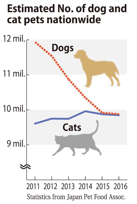 Pet Dog Numbers In Japan Fall To Just Above Cats Survey