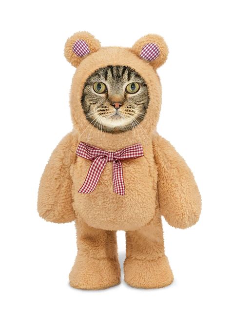 Walking Teddy Bear Cat Costume Pet Costume Center