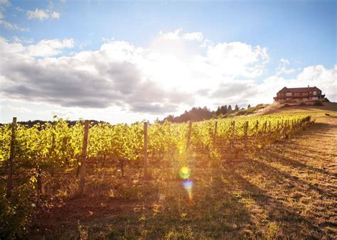 The 10 Best Oregon Pinot Noir Wineries To Visit In 2021