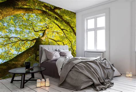 Komar photo mural lion king jungle 368x254cm decorative wall print wallpaper. 6 Rooms that Need a Tree Mural | Wallsauce UK