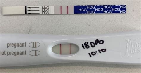 Evaporation Indent And Faint Lines Making Sense Of Pregnancy Tests