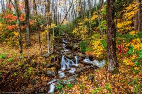 Download Wallpaper Great Smoky Mountains National Park Tennessee