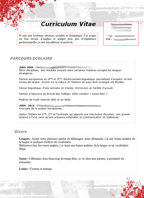 cv type mcdo  CV Anonyme