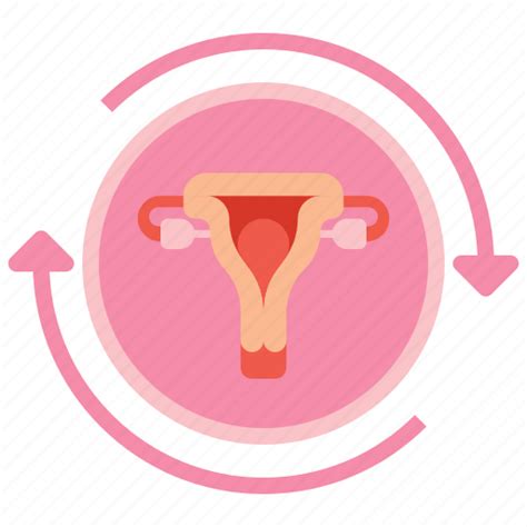 anatomy cycle medical menstrual icon download on iconfinder