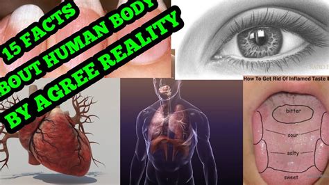 Top 15 Amazing Facts About Human Body Every Knowledgeable Person Should