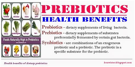 We did not find results for: bonvictor.blogspot.com: Health benefits of dietary prebiotics