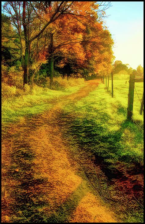 Meadow Path At Sunset Photograph By A Macarthur Gurmankin Pixels