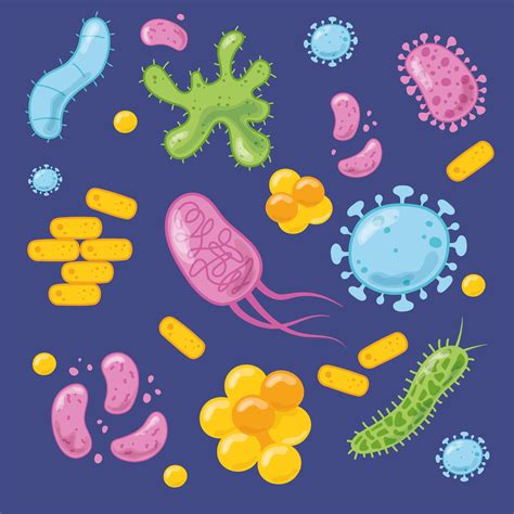 Cartoon Style Virus Bacteria Disease Cells Set Vector Art At