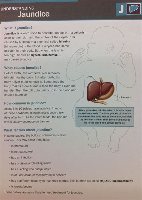 What Is Jaundice Jaundice Bilirubin Babyhealth Nursing Study