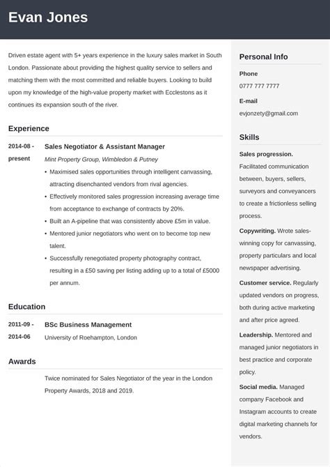15 Editable Cv Templates For Free Download