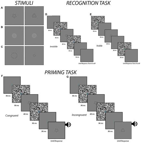 Frontiers Perceptual Discrimination Of Basic Object Features Is Not