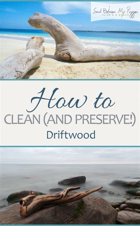 Do it yourself driftwood projects. Clean and Preserve Driftwood: How to - sandbetweenmypiggies.com