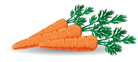 Royalty Free Carrot Clip Art Vector Images