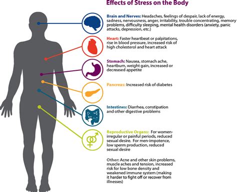 Stress And Your Body Whats Really Happening