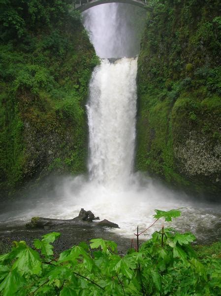 Chasing Waterfalls Photo