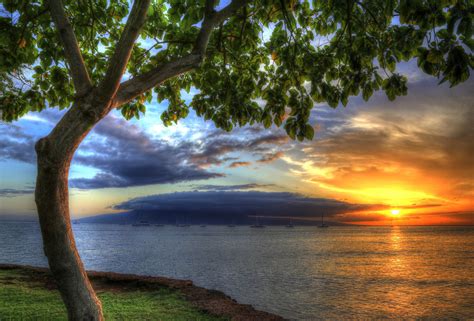 Usa Sunrises And Sunsets Coast Ocean Trees Hawaii Hdr Nature