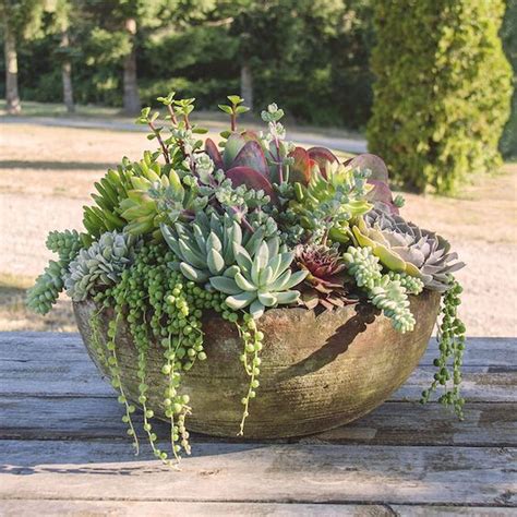 Selecting A Pots Or Planter For Succulents Jihanshanum Succulent