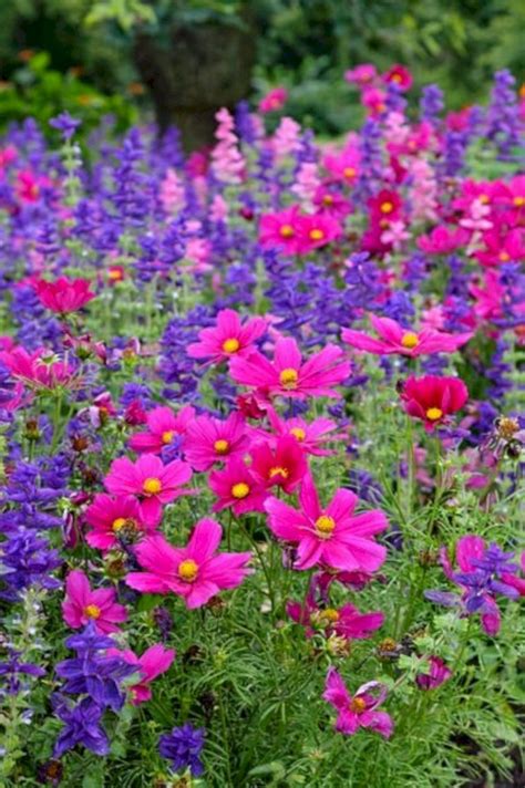My Favorite Plant Combinations 5 75 Best Planting